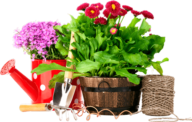 fertilizer products